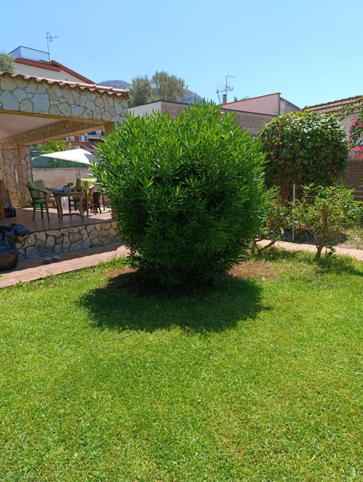 팔레르모 Casa In Giardino A Pochi Passi Dal Mare 빌라 외부 사진